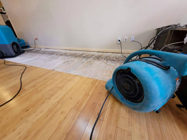 Professional Basement Flood Cleanup technician working in Bealeton, VA